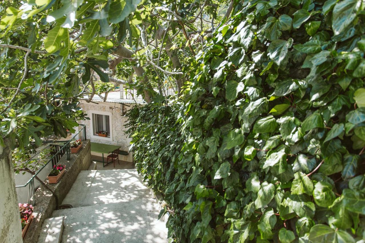 Apartment Kuzmanic لوكفا روجوزنيكا المظهر الخارجي الصورة
